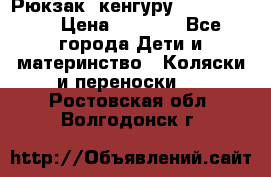 Рюкзак -кенгуру Baby Bjorn  › Цена ­ 2 000 - Все города Дети и материнство » Коляски и переноски   . Ростовская обл.,Волгодонск г.